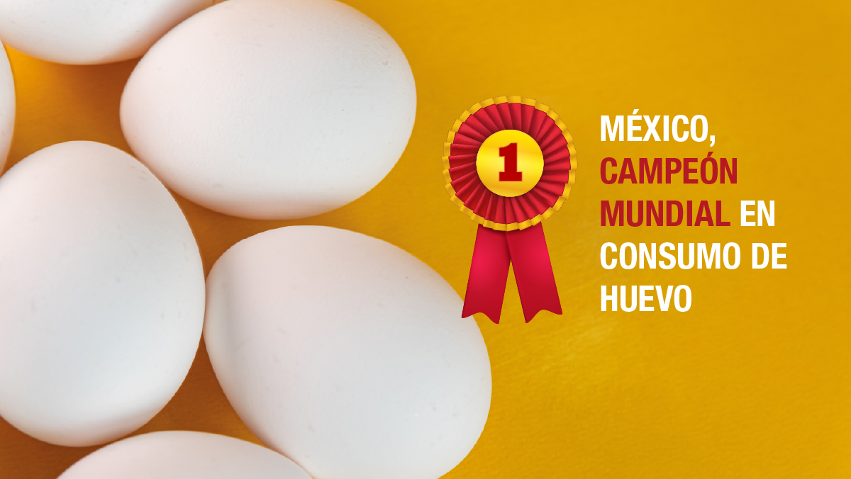 México, campeón mundial en consumo de huevo